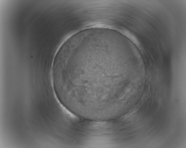 X0000070241247200606161837