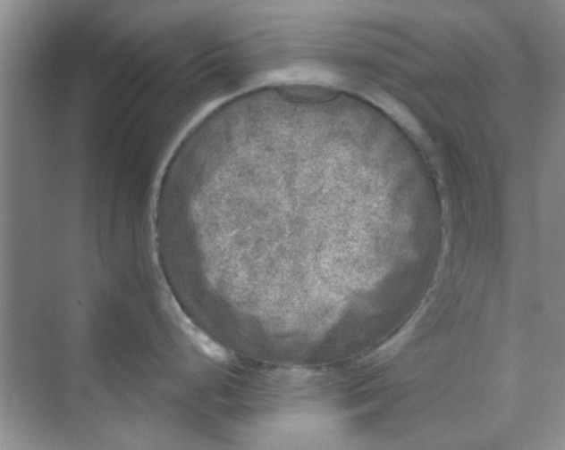 X0000070241248200606161837