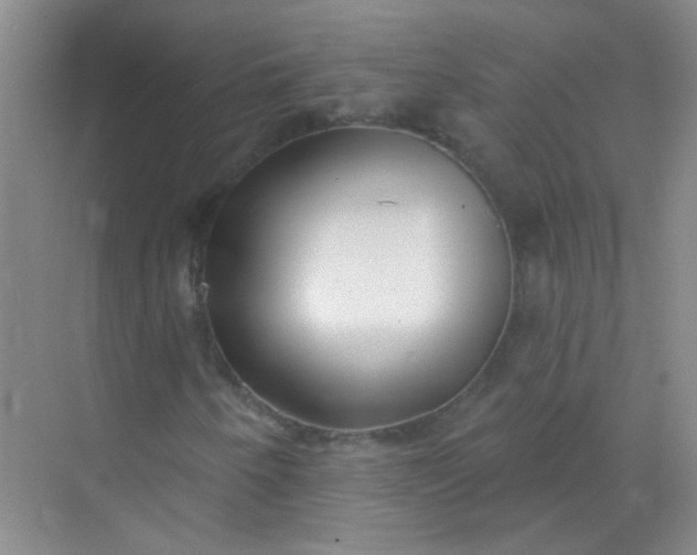 X0000070241250200606161837