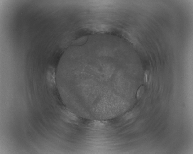 X0000070241251200606161837