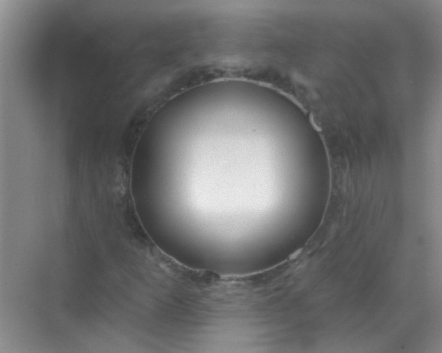 X0000070241253200606161837