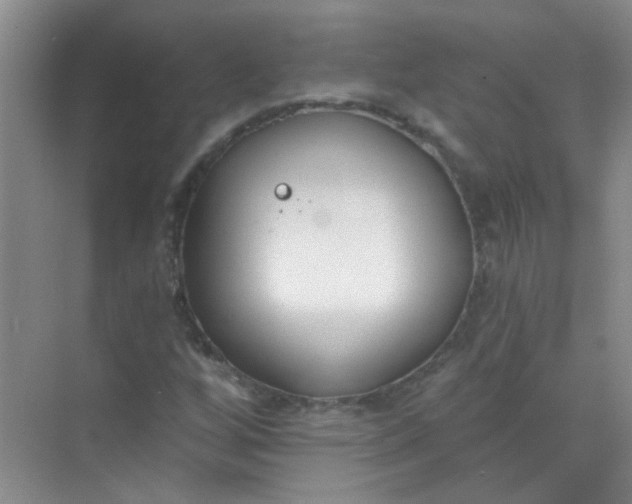 X0000070241256200606161837