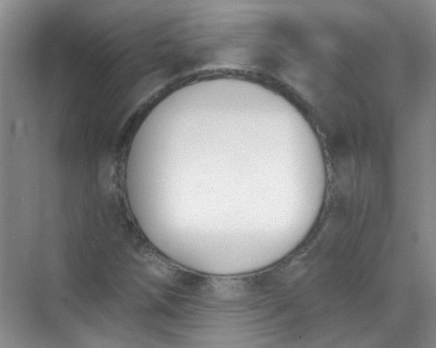 X0000070241258200606161836