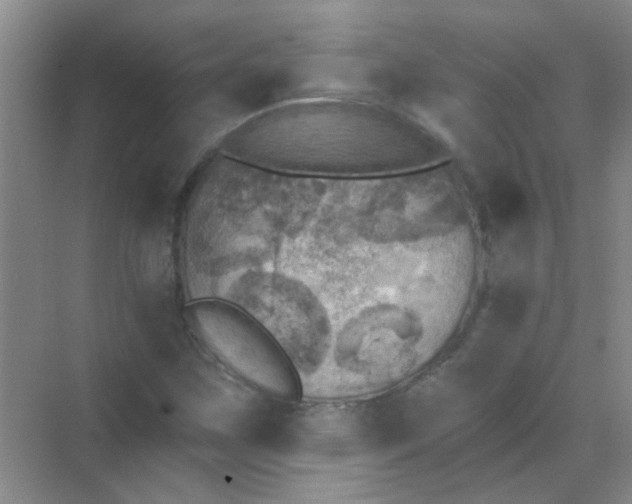 X0000070241259200606161836