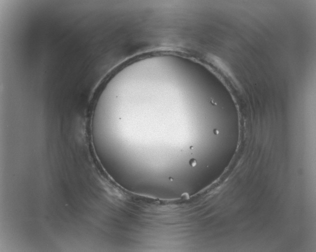 X0000070241260200606161836