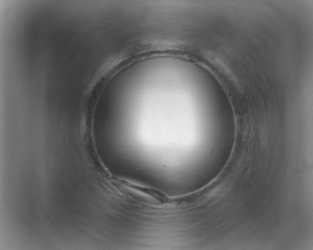 X0000070241261200606161836