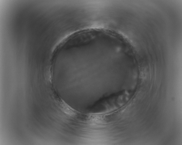 X0000070241262200606161836