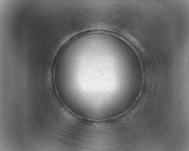 X0000070241264200606161836