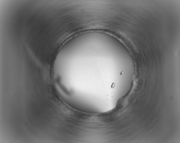 X0000070241265200606161836