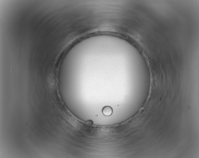 X0000070241266200606161836