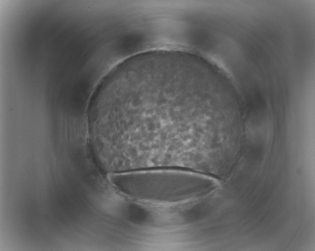 X0000070241267200606161836