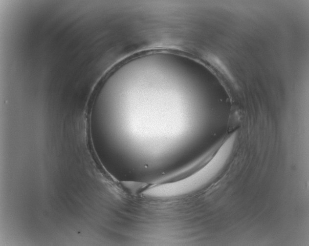 X0000070241268200606161836