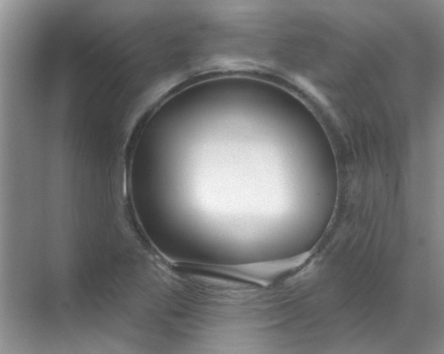 X0000070241269200606161836