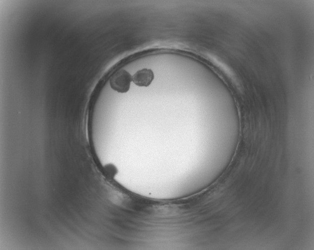 X0000070241272200606161836