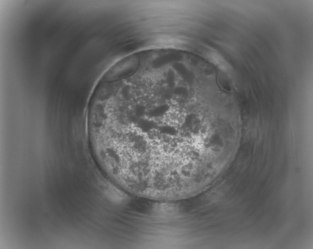 X0000070241275200606161836