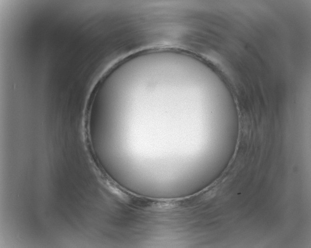 X0000070241278200606161836