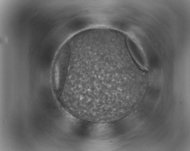 X0000070241279200606161836