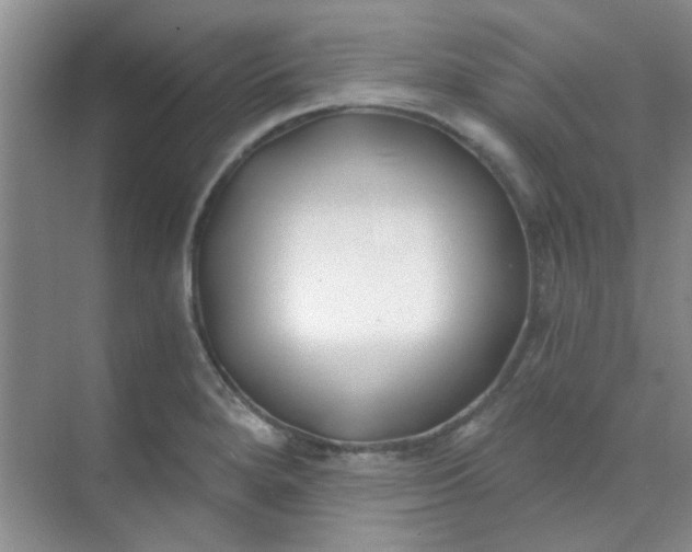 X0000070241280200606161836