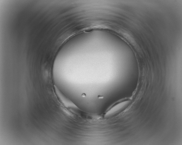 X0000070241281200606161836