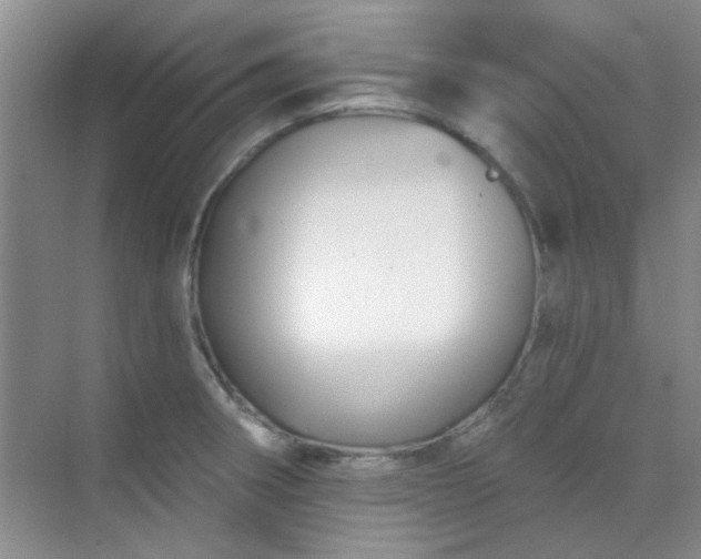 X0000070241282200606161836