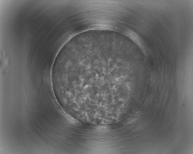 X0000070241283200606161836