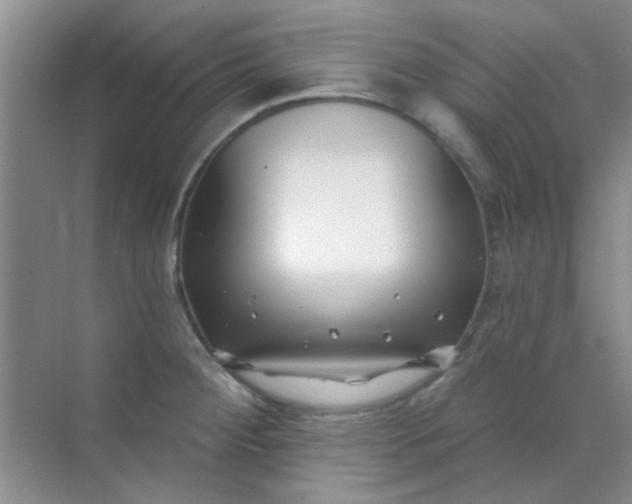 X0000070241284200606161836