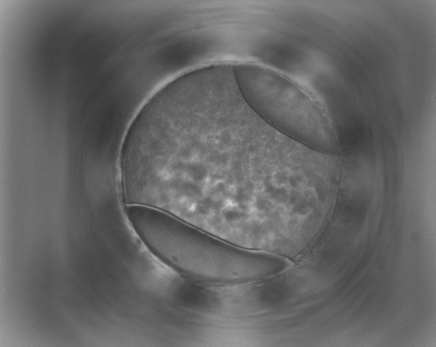 X0000070241287200606161836