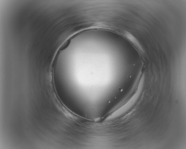 X0000070241292200606161836