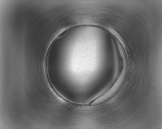 X0000070241293200606161836