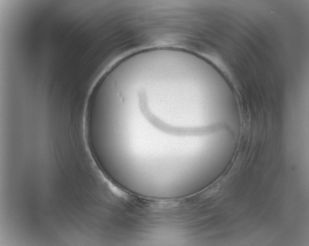 X0000070241294200606161836