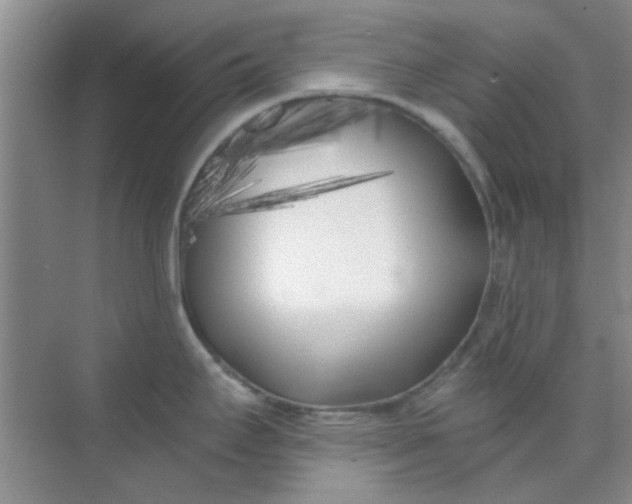 X0000070241295200606161836