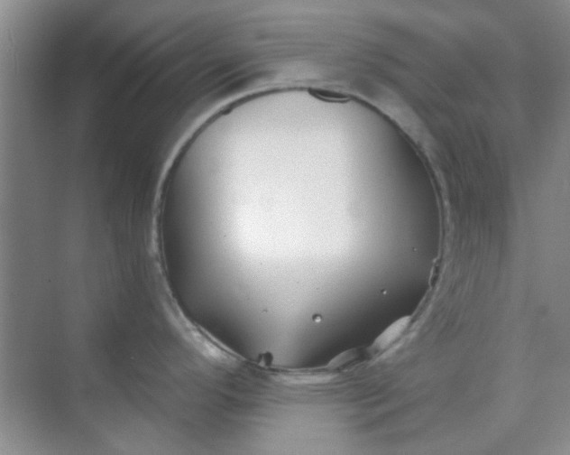 X0000070241296200606161836