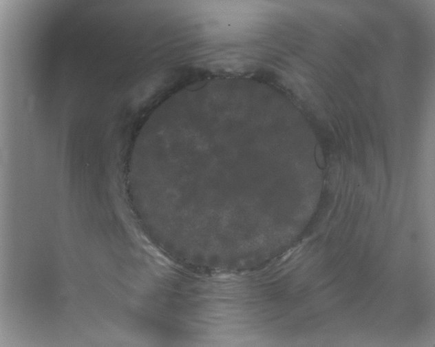 X0000070241297200606161835