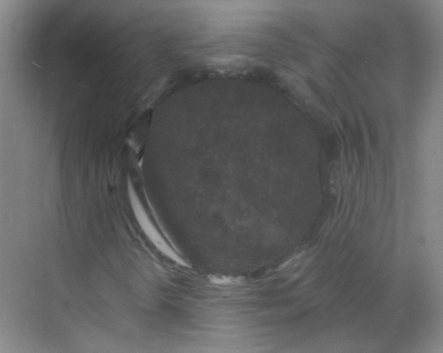 X0000070241298200606161835