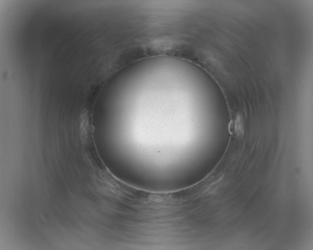 X0000070241299200606161835