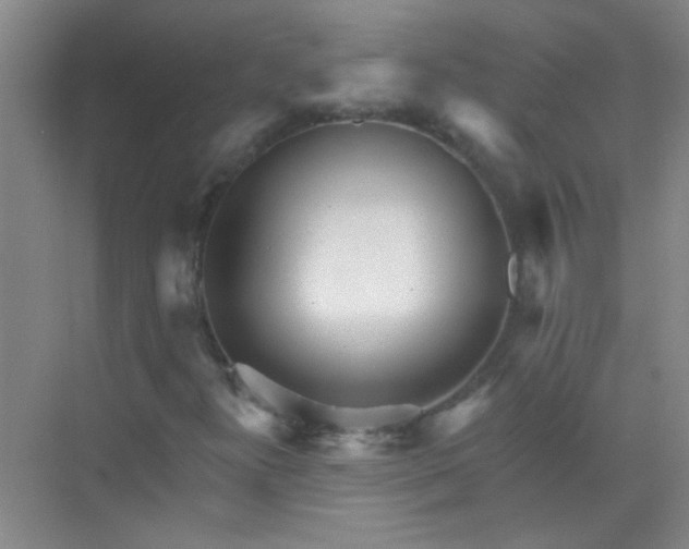 X0000070241300200606161835