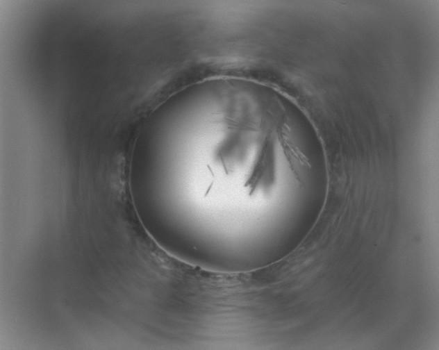 X0000070241301200606161835