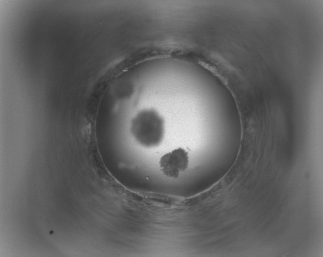 X0000070241302200606161835