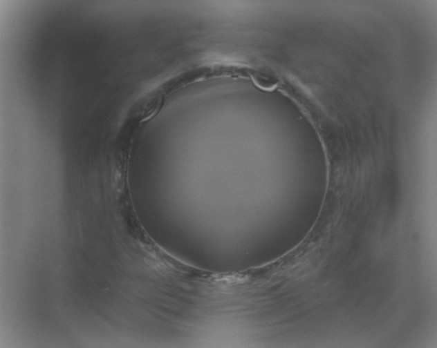 X0000070241303200606161835