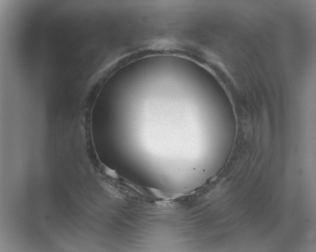 X0000070241304200606161835