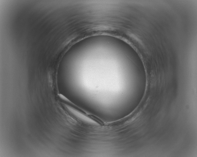 X0000070241305200606161835