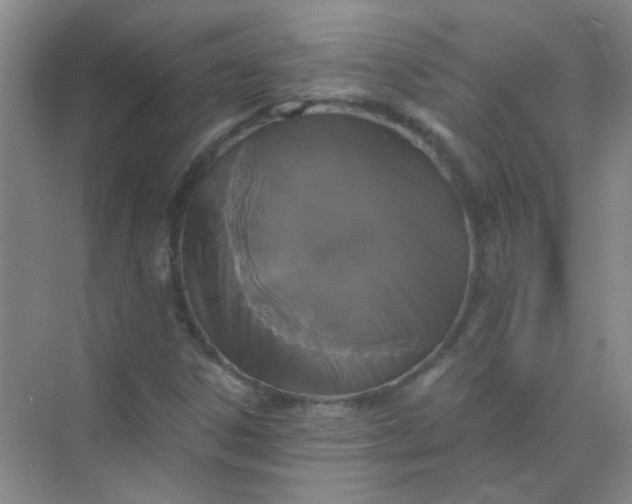 X0000070241306200606161835