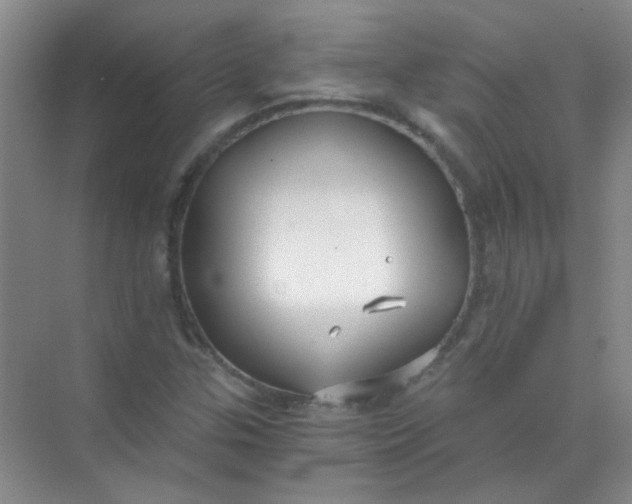 X0000070241307200606161835