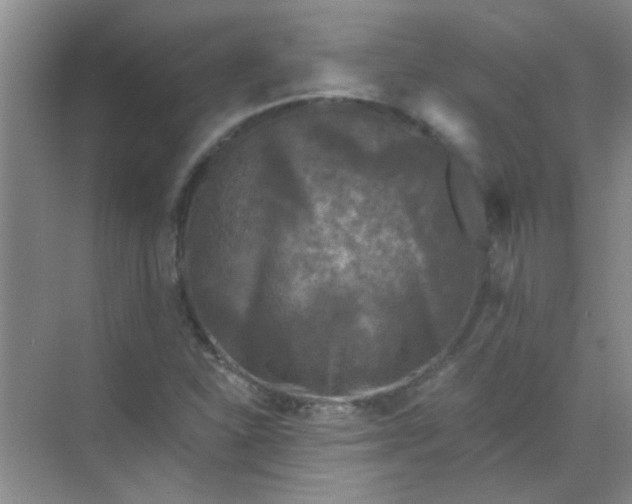 X0000070241310200606161835