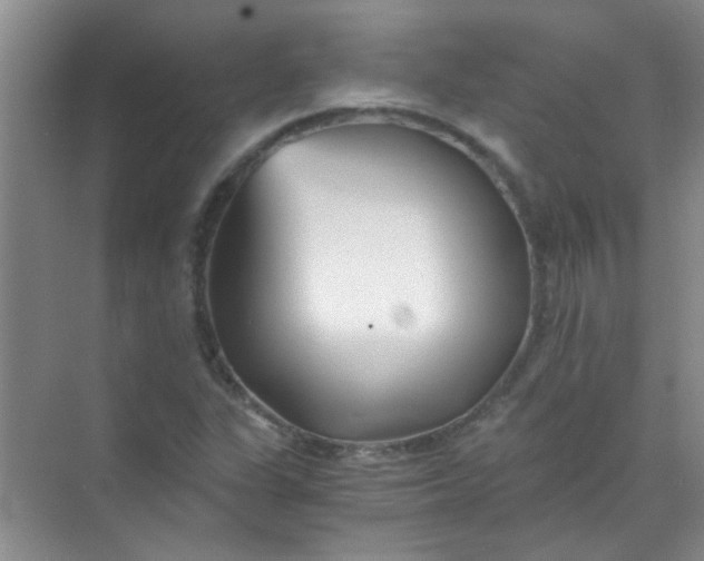 X0000070241311200606161835