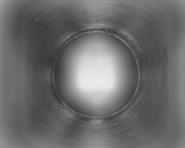 X0000070241313200606161835