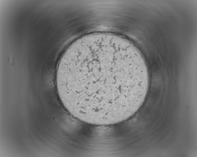 X0000070241314200606161835