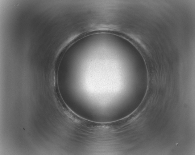 X0000070241317200606161835