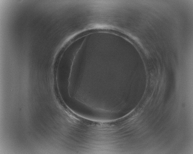 X0000070241319200606161835