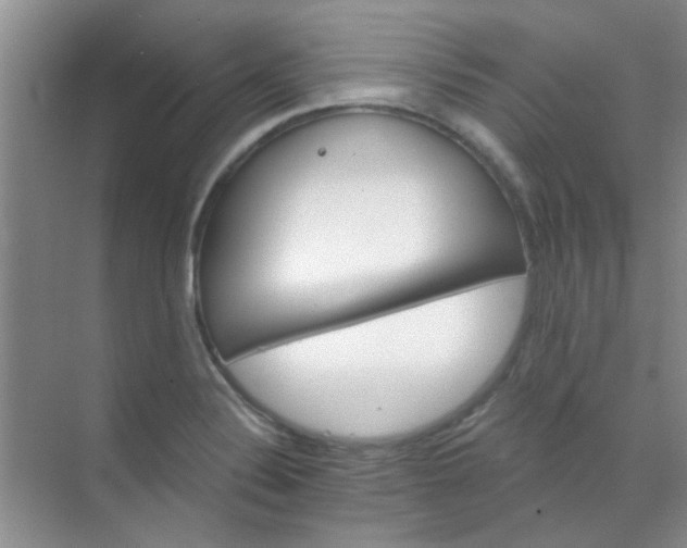 X0000070241324200606161836